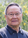 王元化