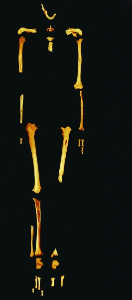 20130130_002