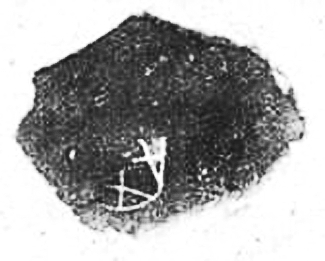 20141030_013