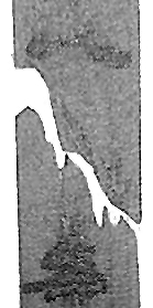 20161216_018