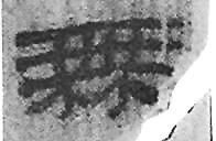 20161216_019