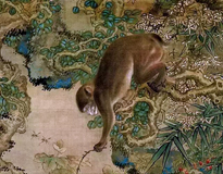 清·沈铨《蜂猴图》