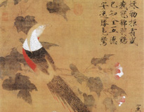 宋·赵佶《芙蓉锦鸡图》