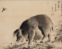 猪
